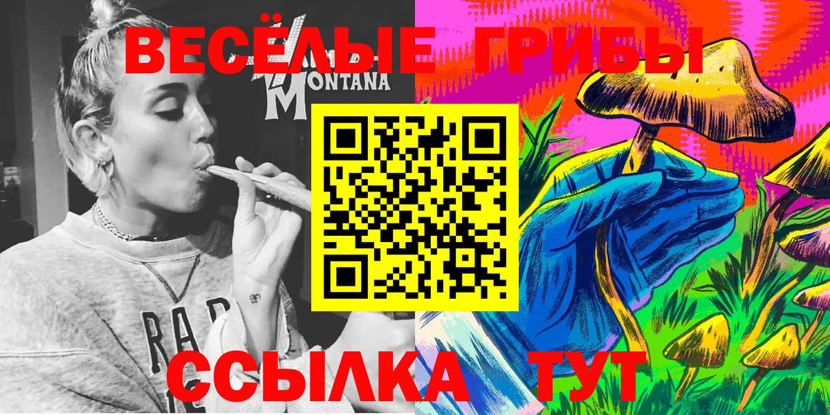 Галлюциногенные грибы GOLDEN TEACHER Заволжье