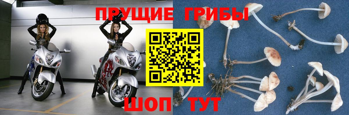 Галлюциногенные грибы ЛСД  Галлюциногенные грибы MAGIC MUSHROOMS  Заволжье  Вход с VPN 