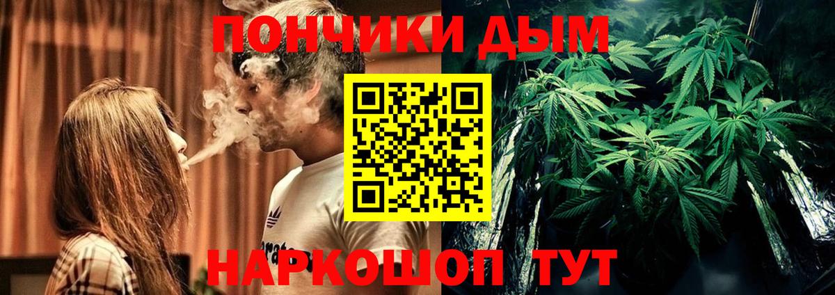 Канабис SATIVA & INDICA  Вход с VPN  Заволжье  Канабис ГИДРОПОН  Марихуана SATIVA & INDICA 